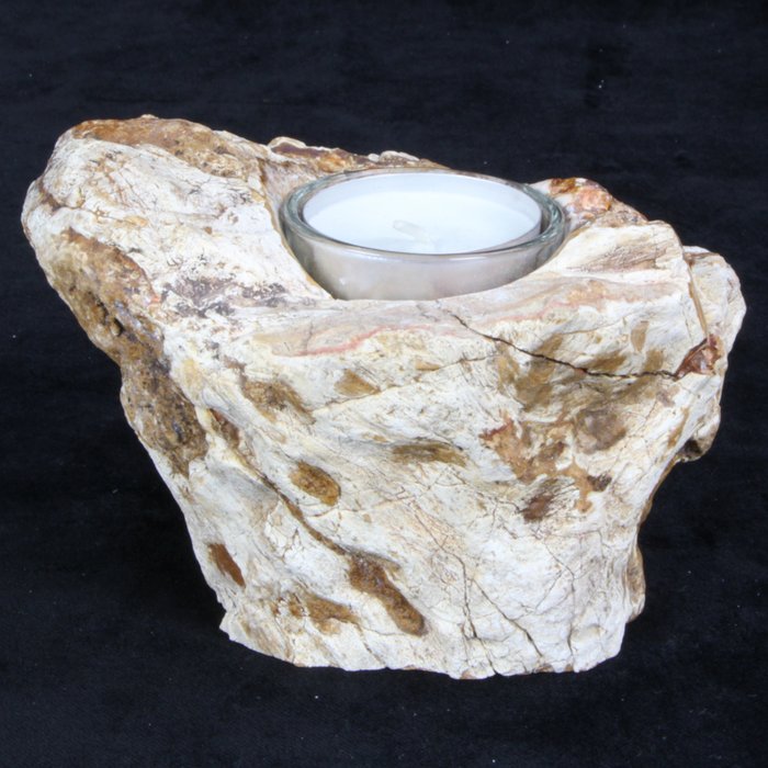 Fossil wood candle for sale  