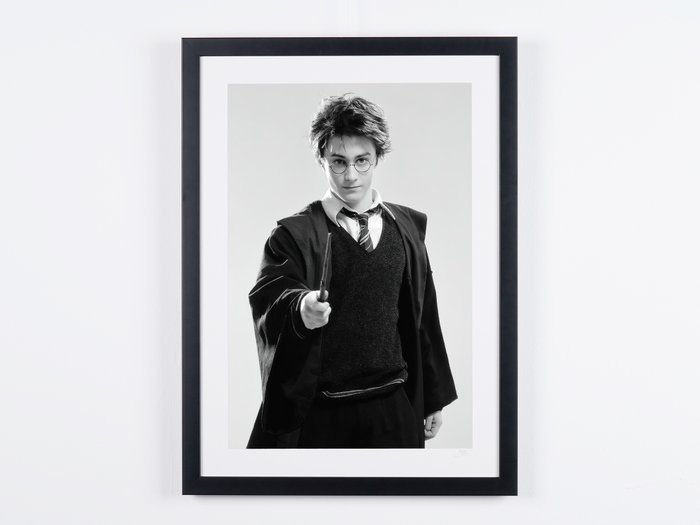 Harry potter prisoner for sale  