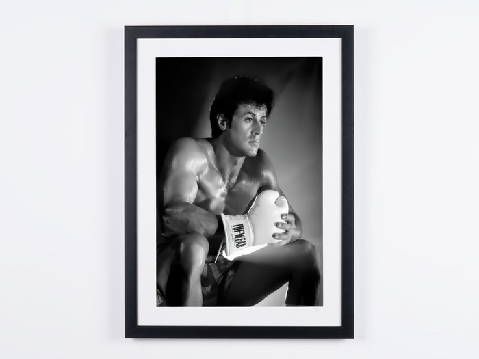Rocky sylvester stallone for sale  