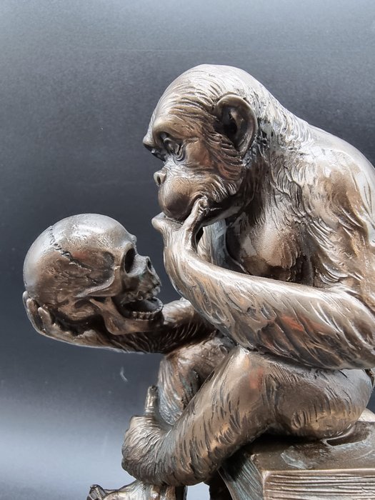 Statue darwin monkey usato  