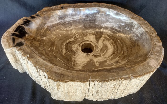 Wash basin fossil for sale  