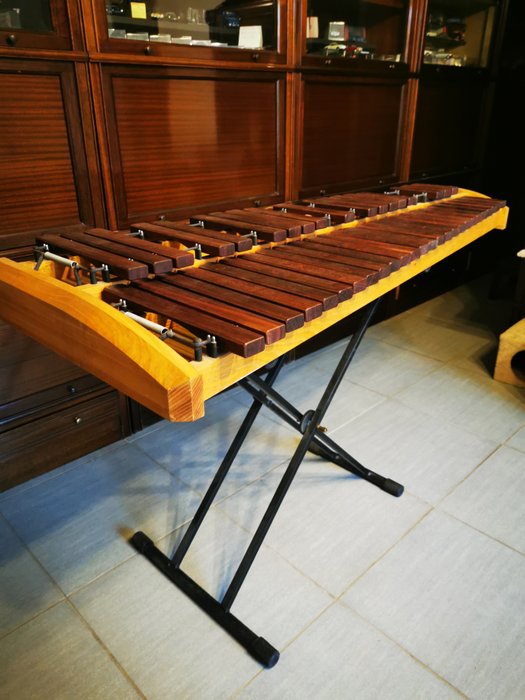 Unknown xylophon musikinstrumente gebraucht kaufen  