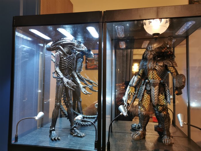 Aliens - Alien Warrior in Showcase - Hot Toys, Sideshow Toys - 1:6 - Statuetta(e) - See, usato usato  
