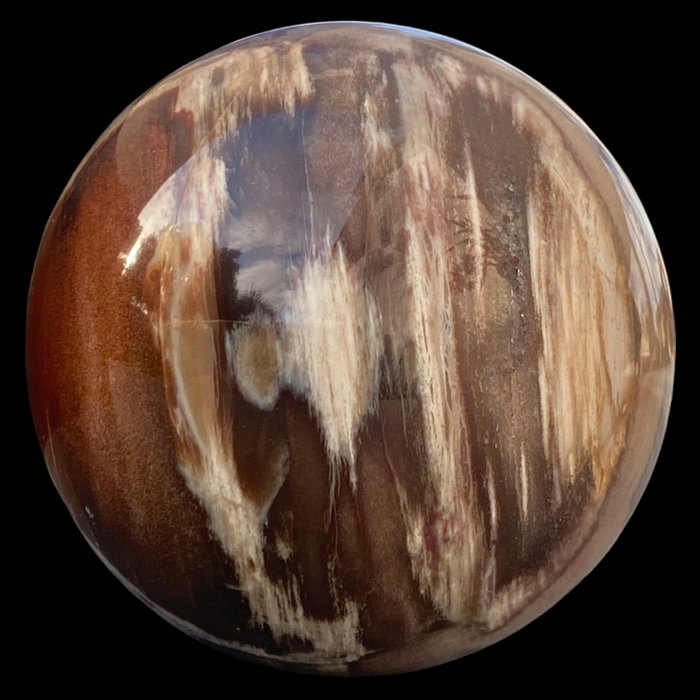 Sphere fossil wood for sale  