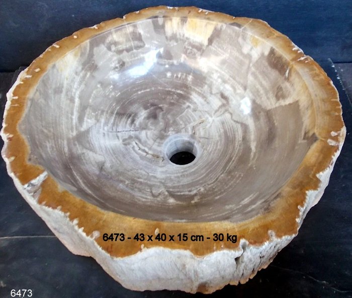 Wash basin fossil for sale  