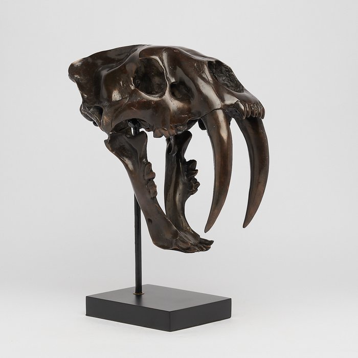 Replica sabre toothed for sale  