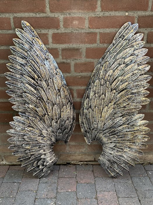 Pair large wings d'occasion  