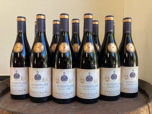 2022 pinot noir for sale  