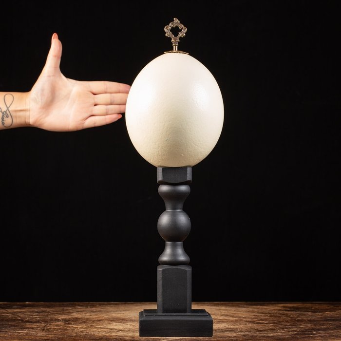 Ostrich egg custom for sale  