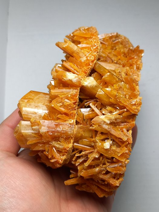 Gypsum crystal cluster for sale  