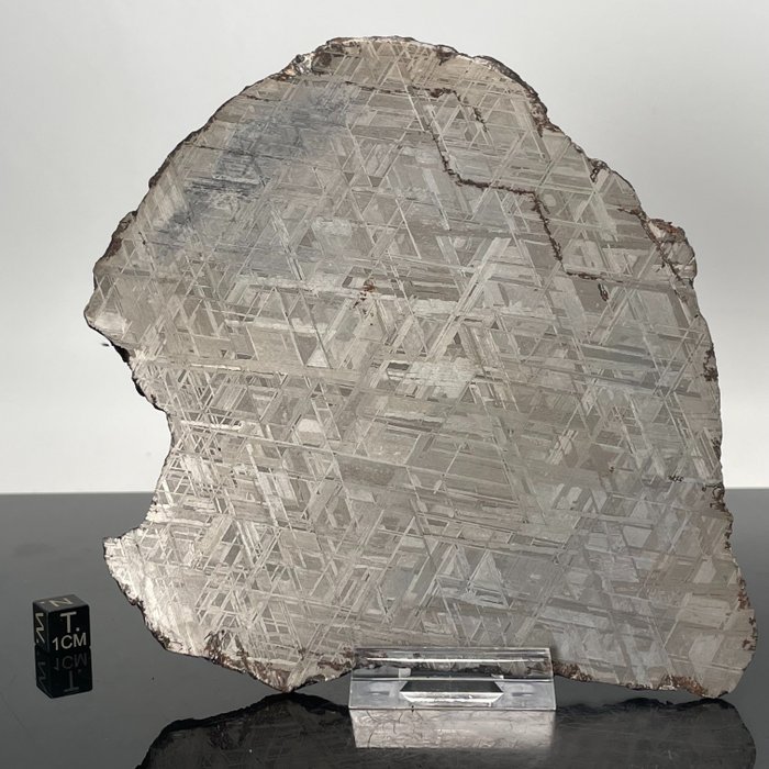 Muonionalusta meteorite metal d'occasion  