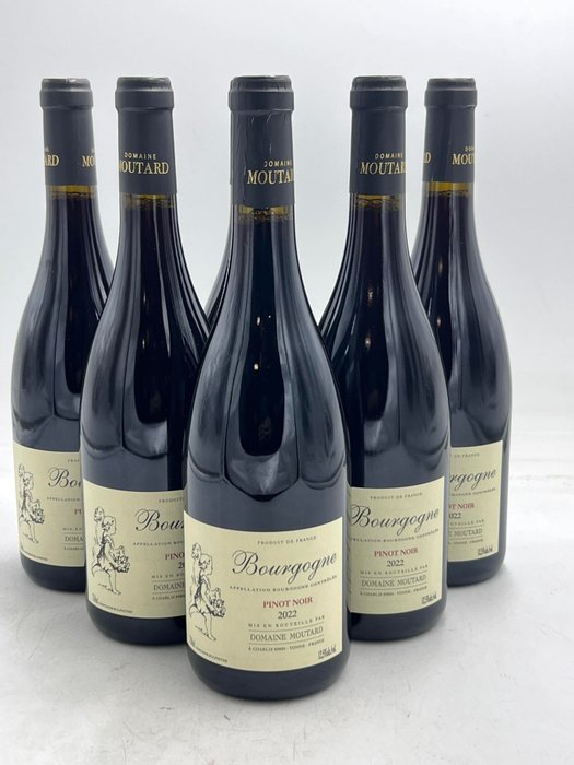 2022 bourgogne pinot for sale  