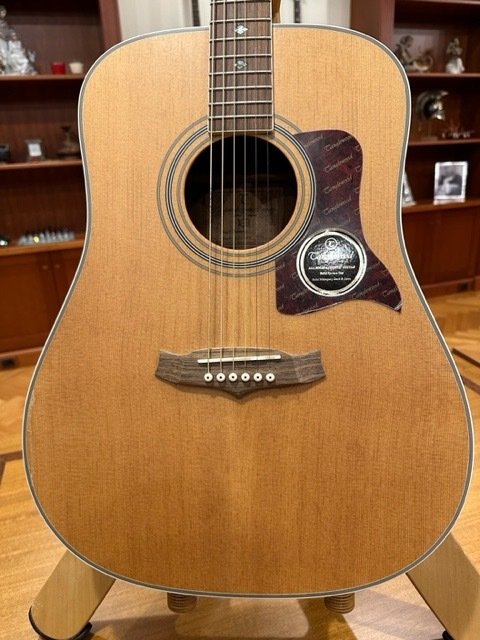 Tanglewood sundance acoustic for sale  