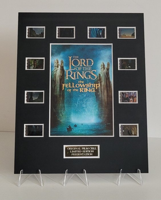 Lord rings fellowship for sale  