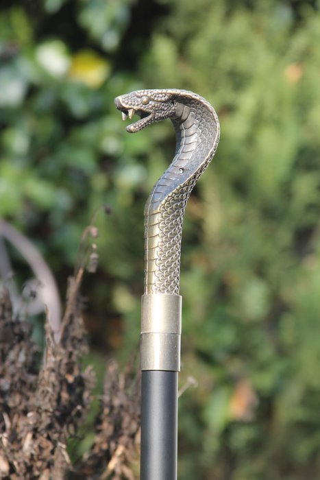 Walking stick cobra usato  