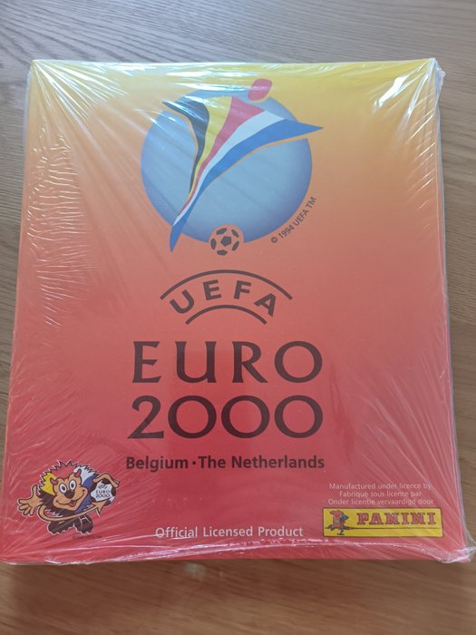 Panini euro 2000 usato  