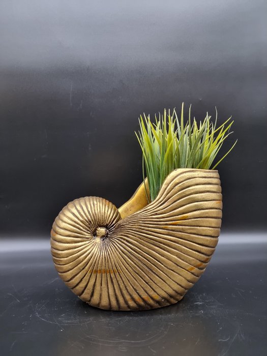 Flower pot ammonite for sale  