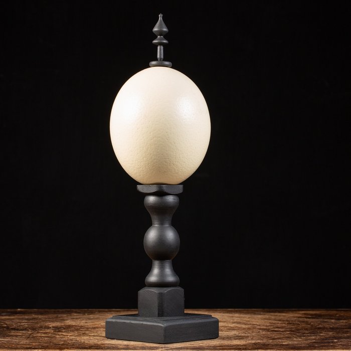 Wunderkammer design egg for sale  