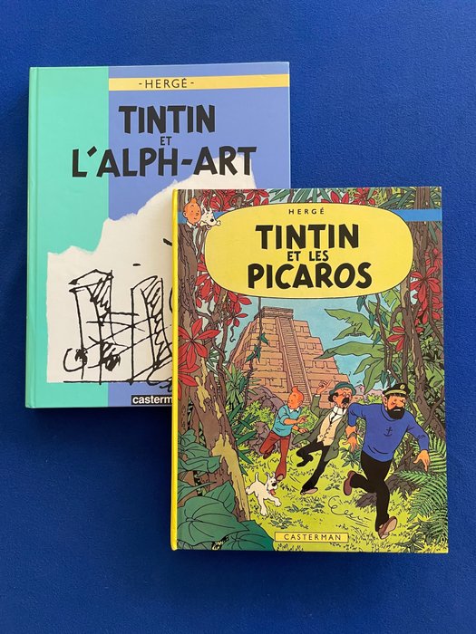 Tintin t23 t24 d'occasion  