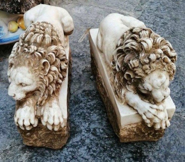 Statue coppia leoni usato  