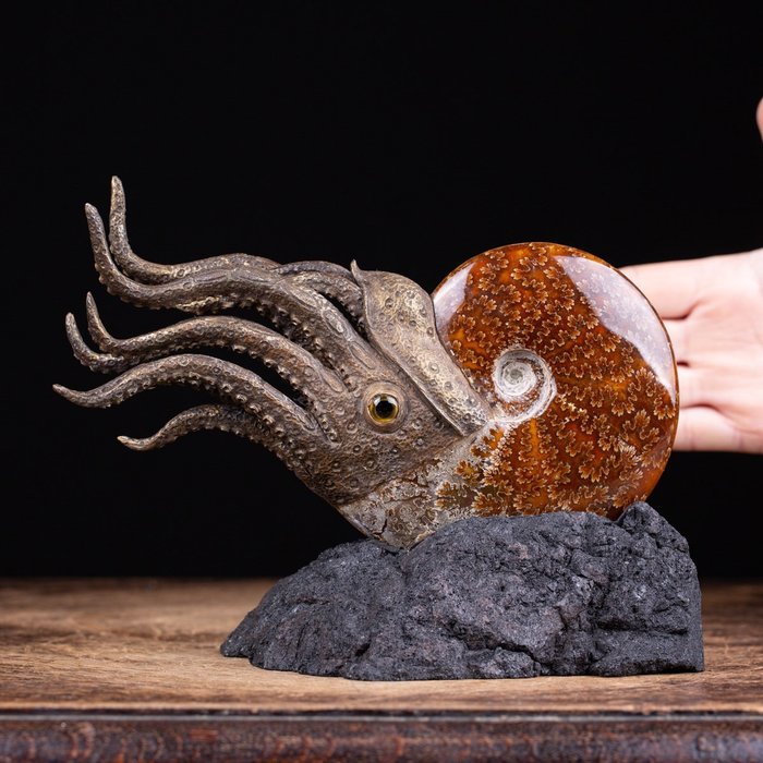 Ammonite sculpture fantastic for sale  