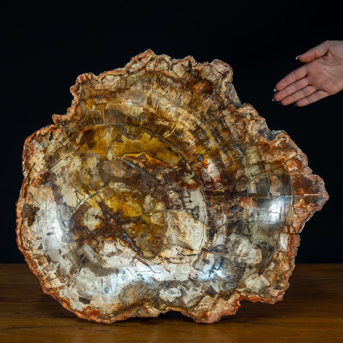 Natural extraordinary quartz for sale  