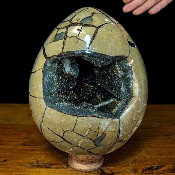 Decorative septarian egg for sale  