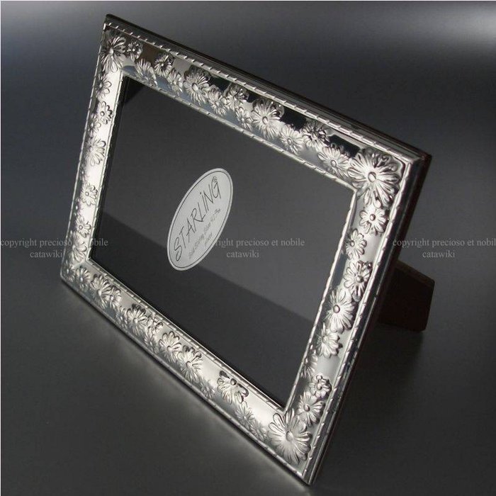 Picture frame photo for sale  