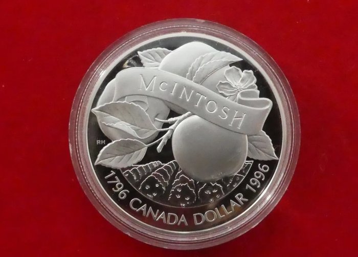 Canada. dollar 1996 usato  