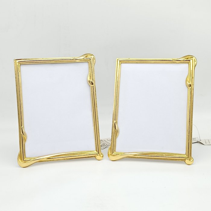 Disbron picture frame for sale  