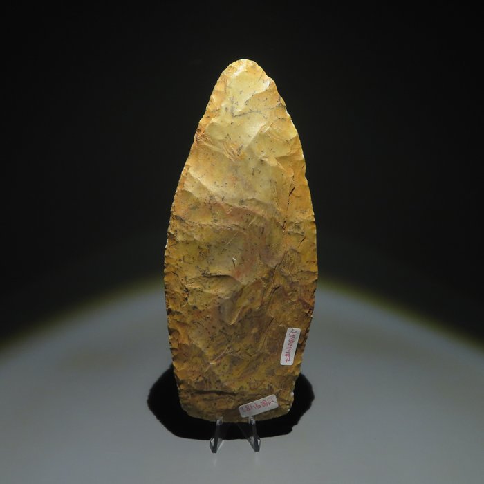 Neolithic stone spearhead. usato  