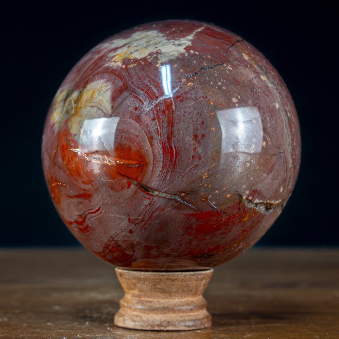 Natural sphere petrified for sale  