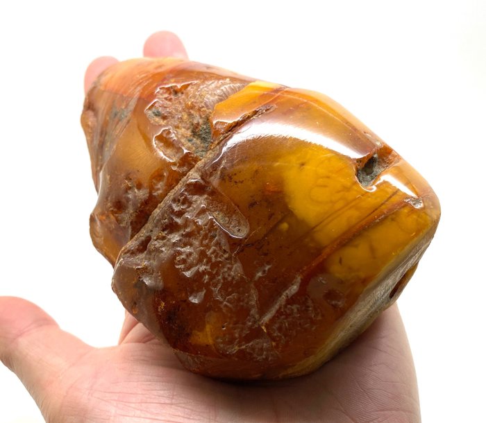 Natural baltic amber for sale  
