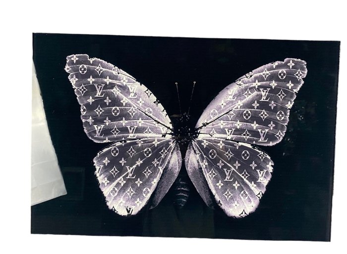 Mike blackarts butterfly for sale  