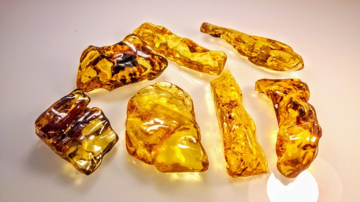 Polished amber honey usato  