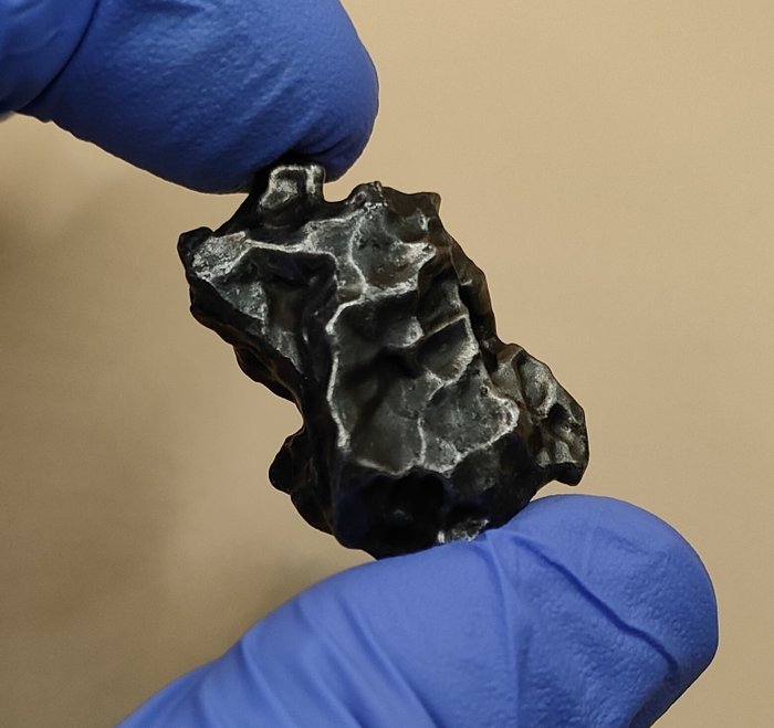 Meteorite sikhote alin for sale  