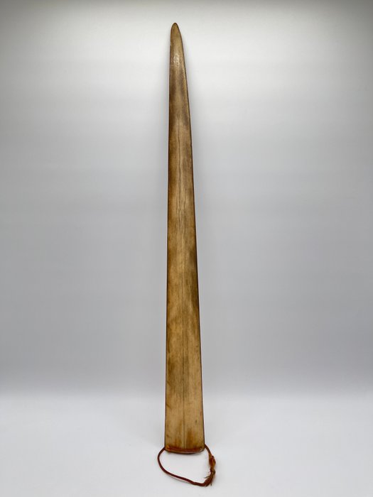 Giant swordfish bone for sale  