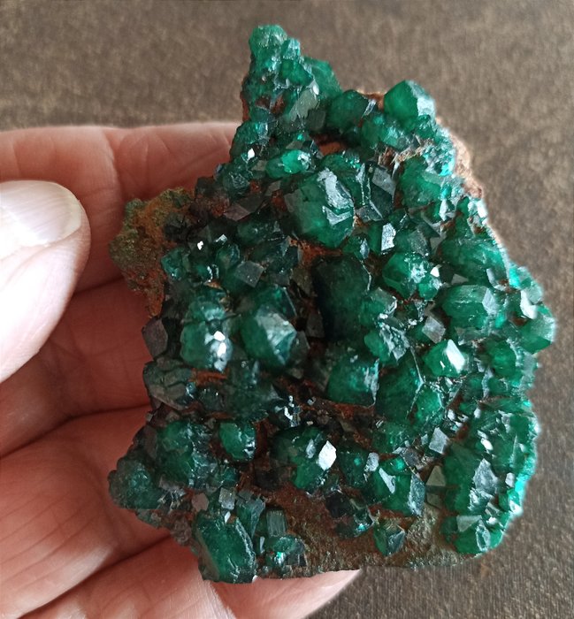 Beautiful dioptase shiny for sale  