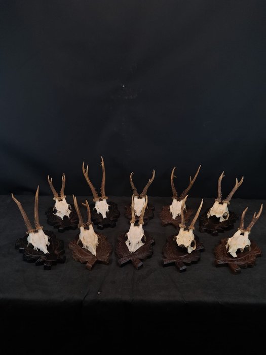 Reebok skull antlers for sale  