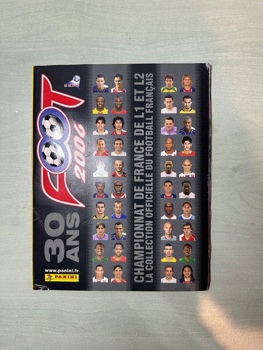 Panini foot 2006 d'occasion  
