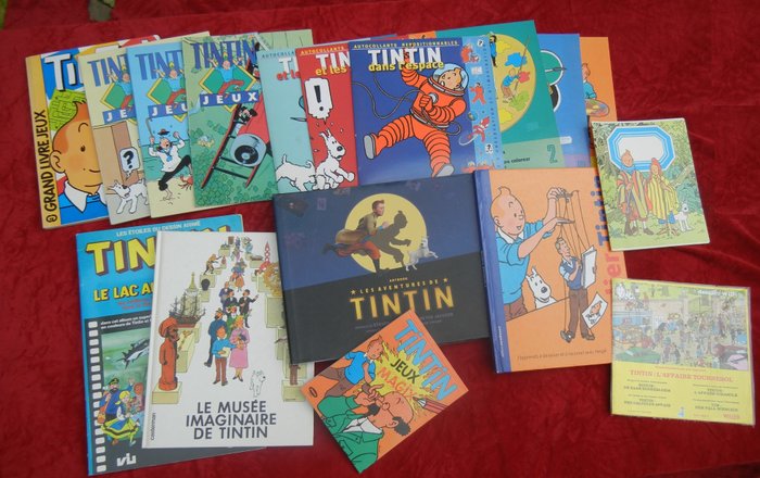 Tintin albums ensemble d'occasion  