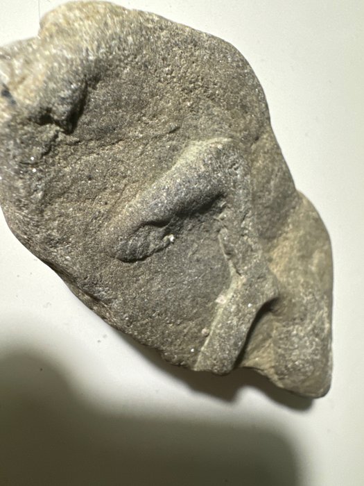 Fossilised foot print for sale  