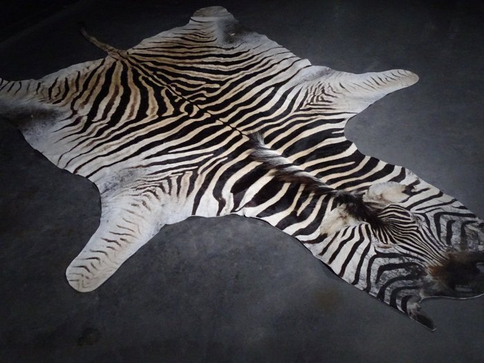 African zebra skin for sale  