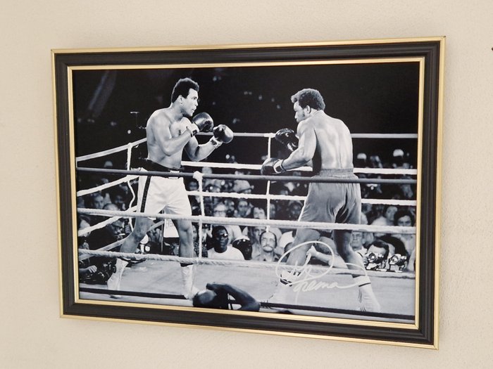 Boxing title george for sale  