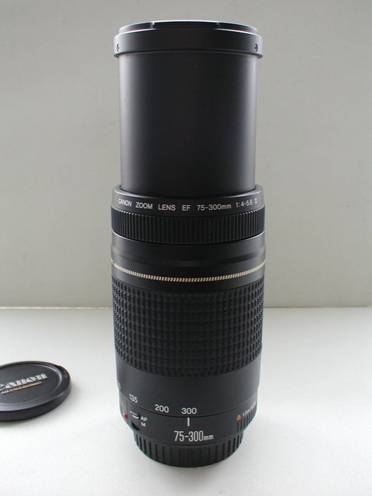 Canon 300mm 5.6 for sale  