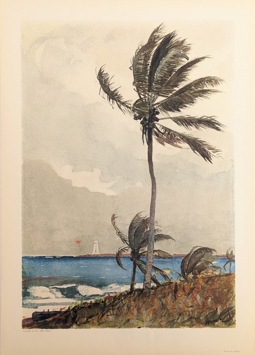 Winslow homer palm for sale  