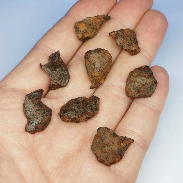 Iron meteorites henbury usato  