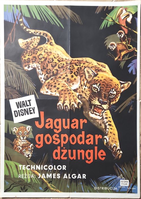 Poster jungle cat d'occasion  