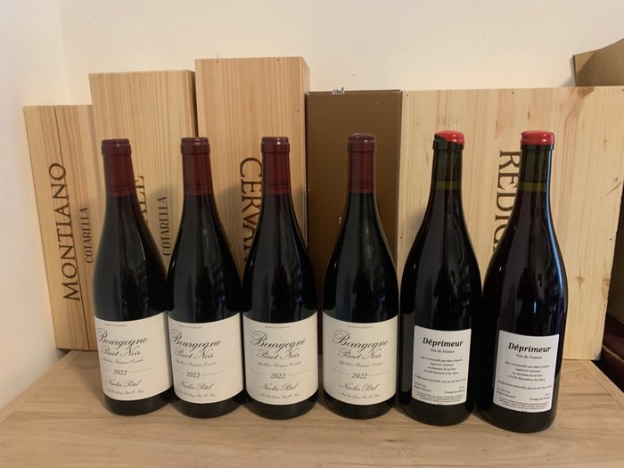 2022 bourgogne pinot d'occasion  