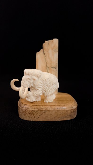 Woolly mammoth. tusk for sale  